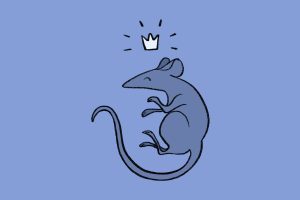 Illustration of a rat with a crown over its head.