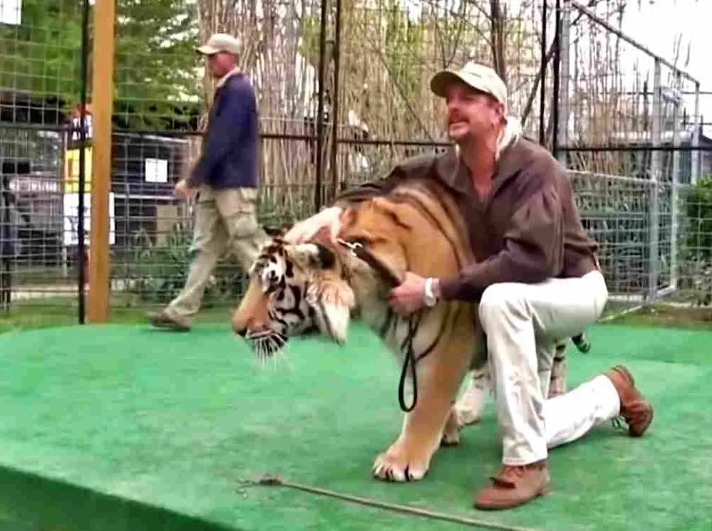 in article about Tiger King season 2, a photo Joe Exotic next to a tiger