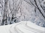 Photo of a car's tracks in the snow bordered by snow-covered trees for an article about the vices and virtues of snow.