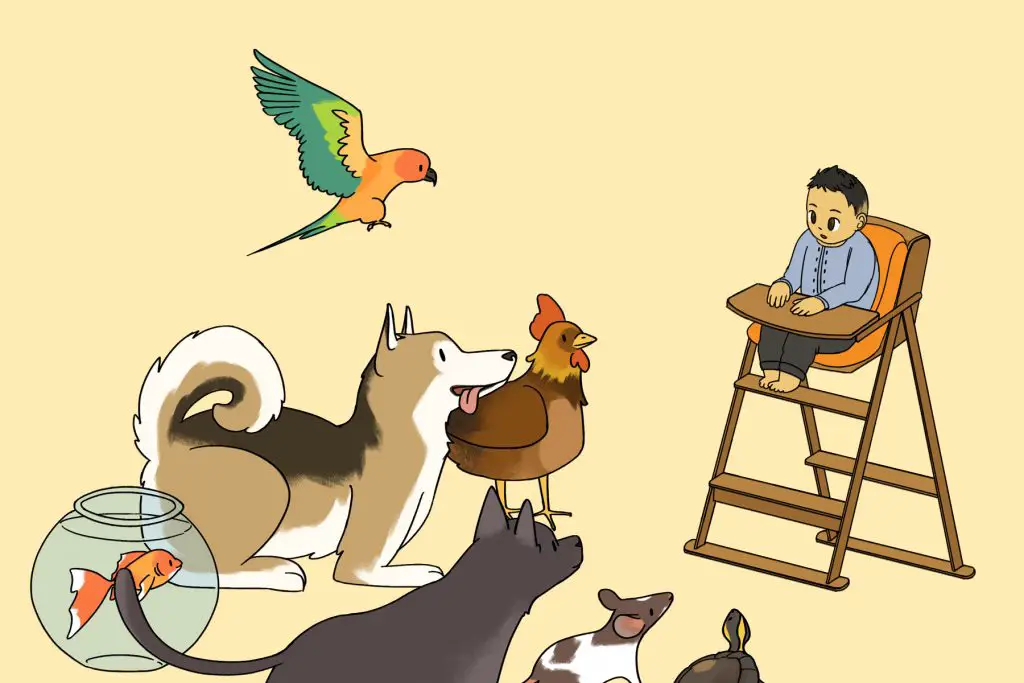 in an article about a first pet for a child, an illustration of a child in a high chair surrounded by animals