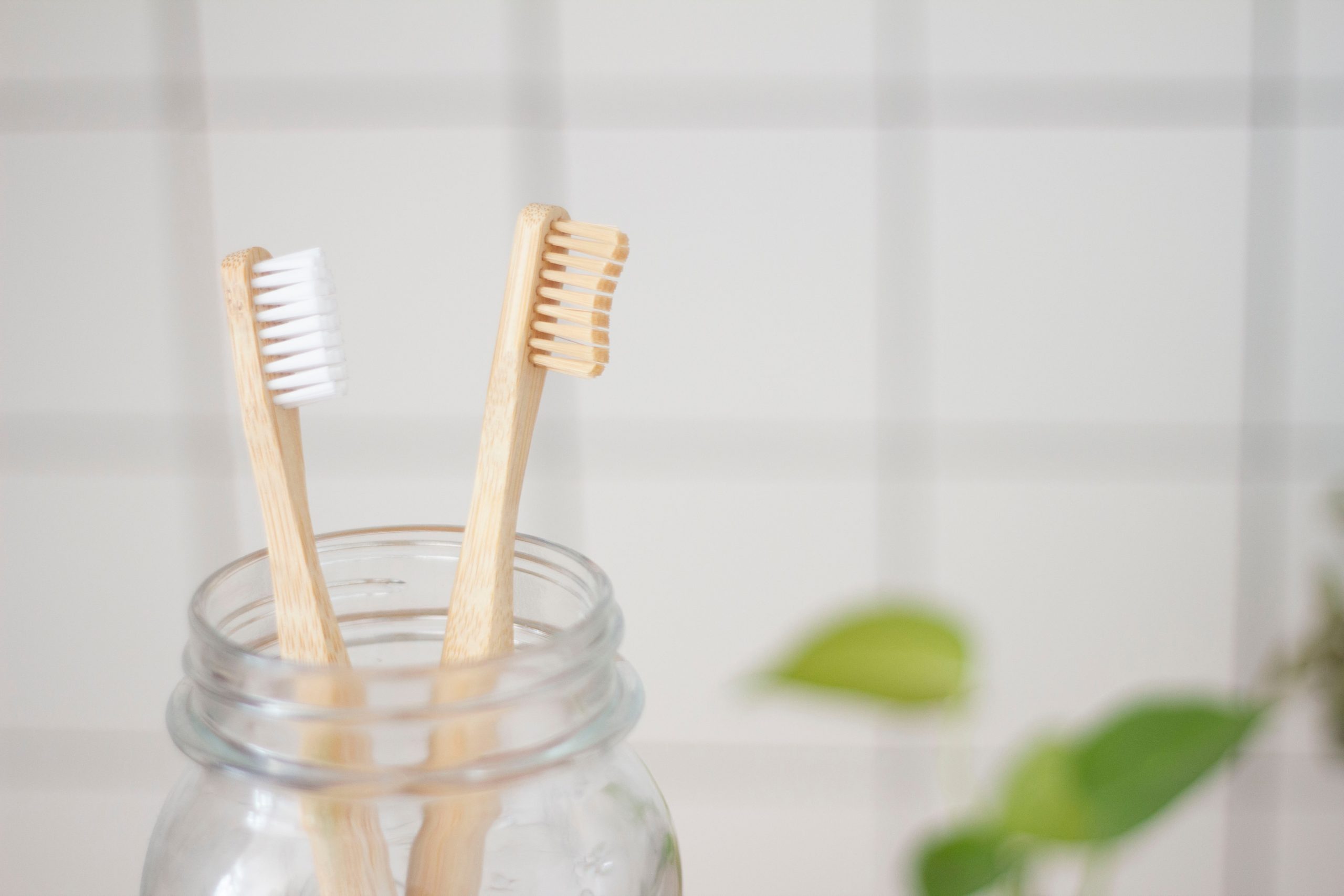 in an article about oral health, two toothbrushes in a jar