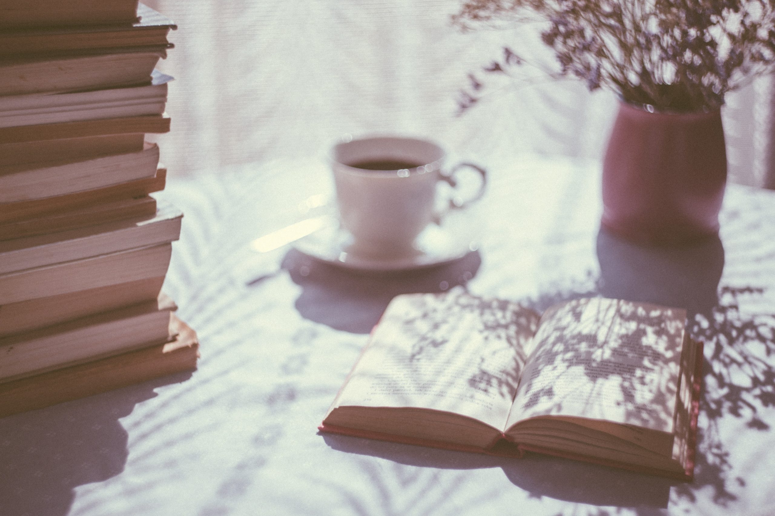 A pile of fantasy books, an open book, a teacup and a vase with flowers sitting on a table with sunlight shining down