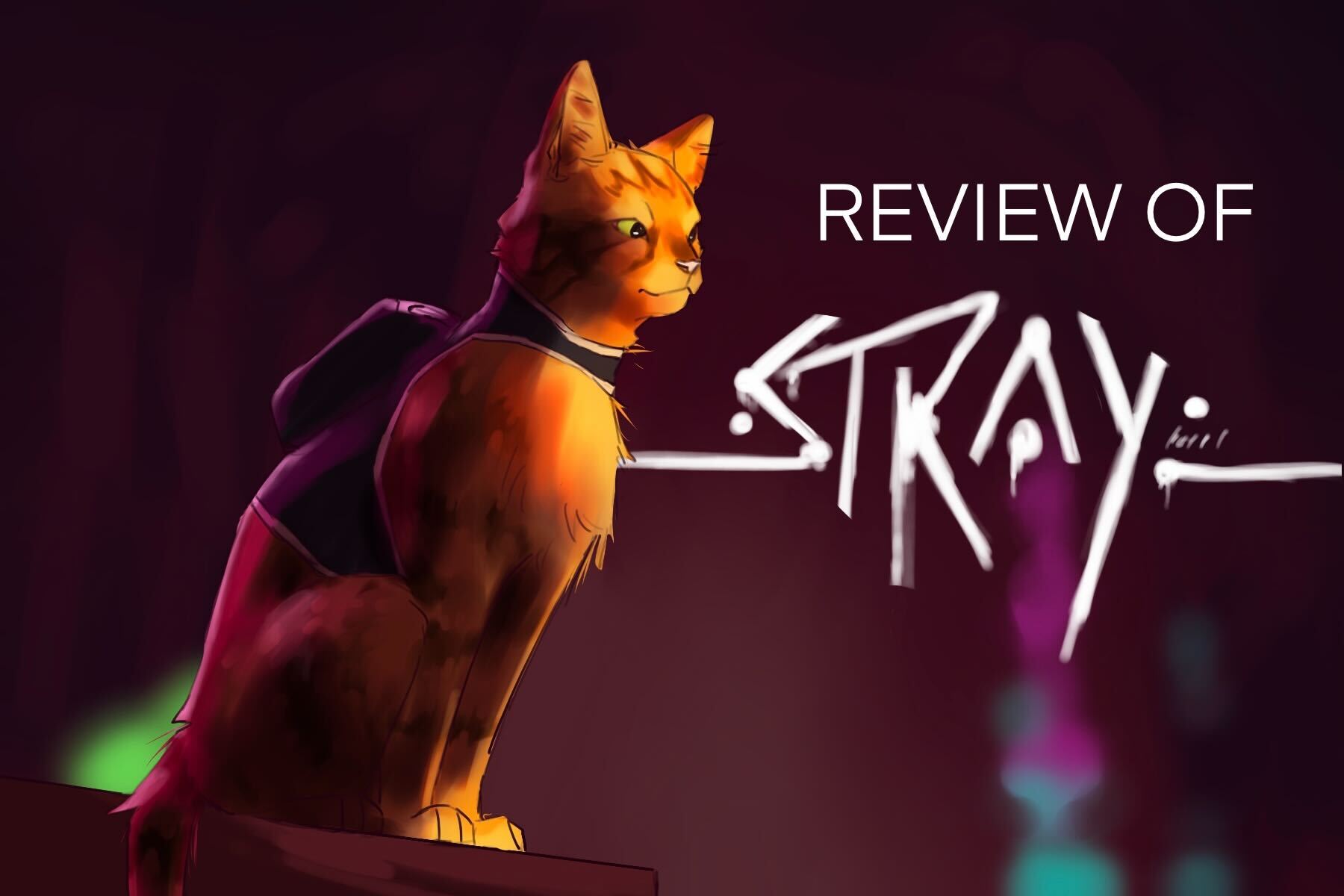 The main character of "Stray"