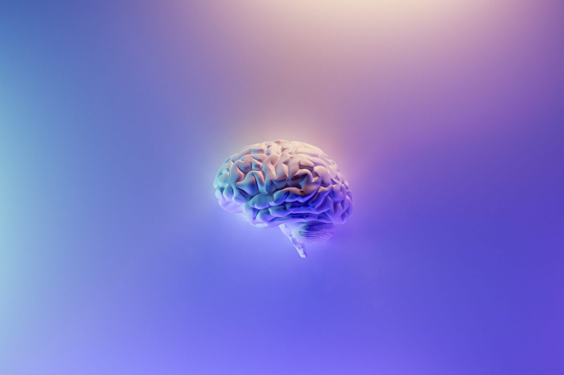 in an article about cognitive performance, an image of a brain