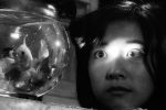 A screenshot from 'house' shows a girl staring into a fish bowl