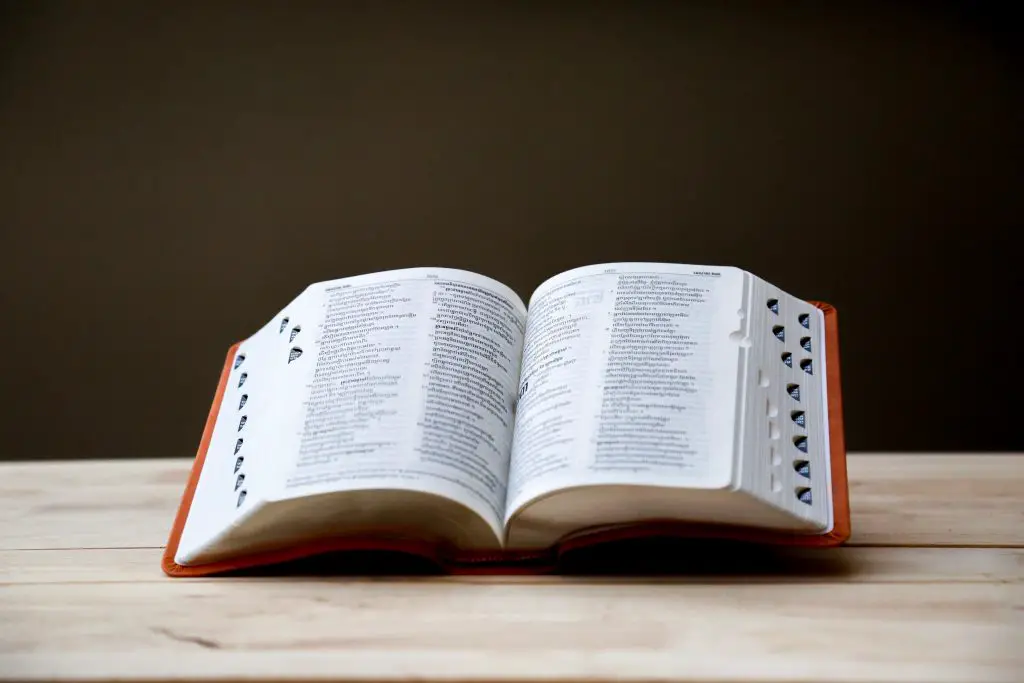 A photograph of an open dictionary on a table.