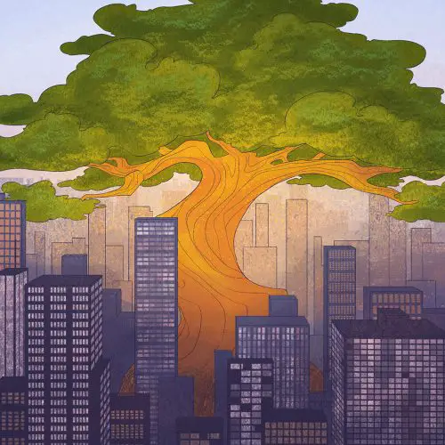 An illustration of a large tree covering a city in shade.