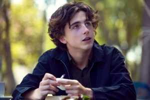 In an article about nepotism, a screenshot of Timothée Chalamet in Lady Bird