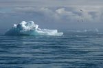 Climate change photo of an iceberg melting.