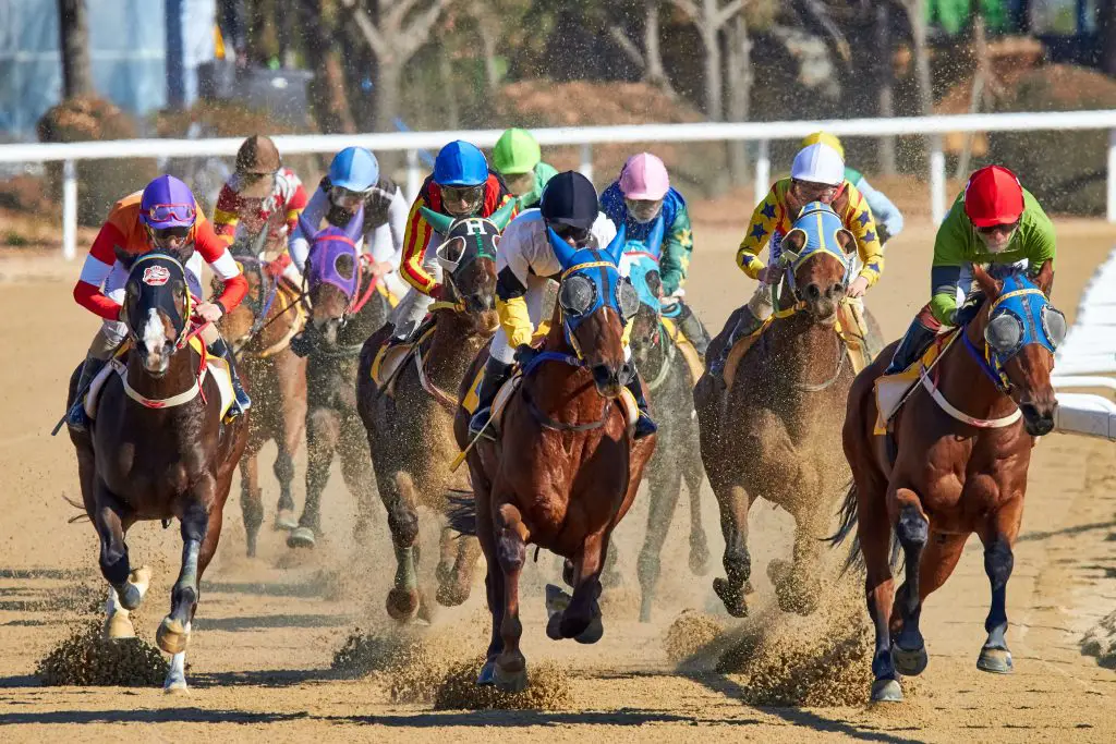 In an article about the Kentucky Derby, horse racers compete.