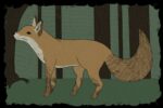 In this article about animal points of view, a brown fox explores a forest.