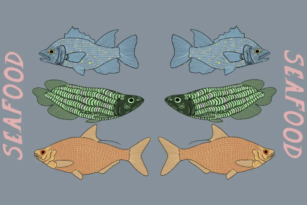 In an article about seafood in Florida, a blue fish, a green fish, and an orange fish are paired with an other. The word "seafood" appears on both sides.