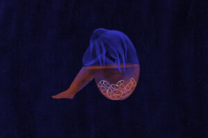 Against a dark blue sky background, an outline of a woman in blue and red colors sits with her knees to her chest as pills are see in her body.