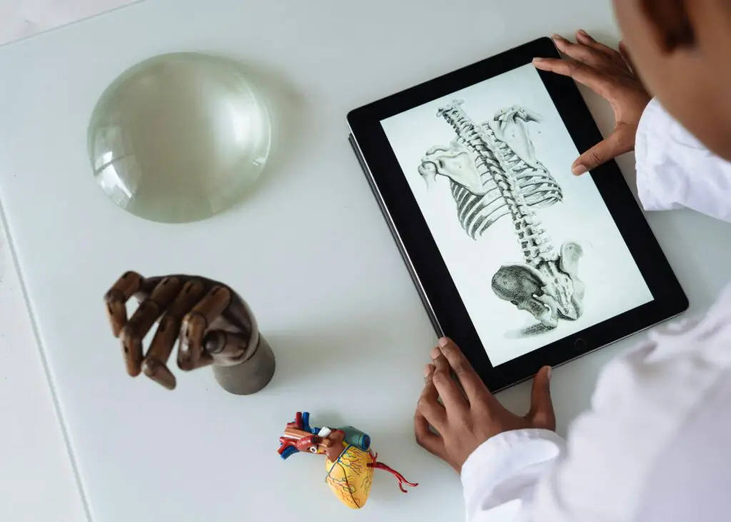Doctor looking at spine image on iPad